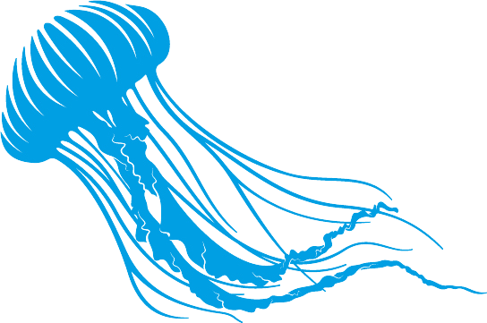 Jellyfish of Silent Seas Freediving logo