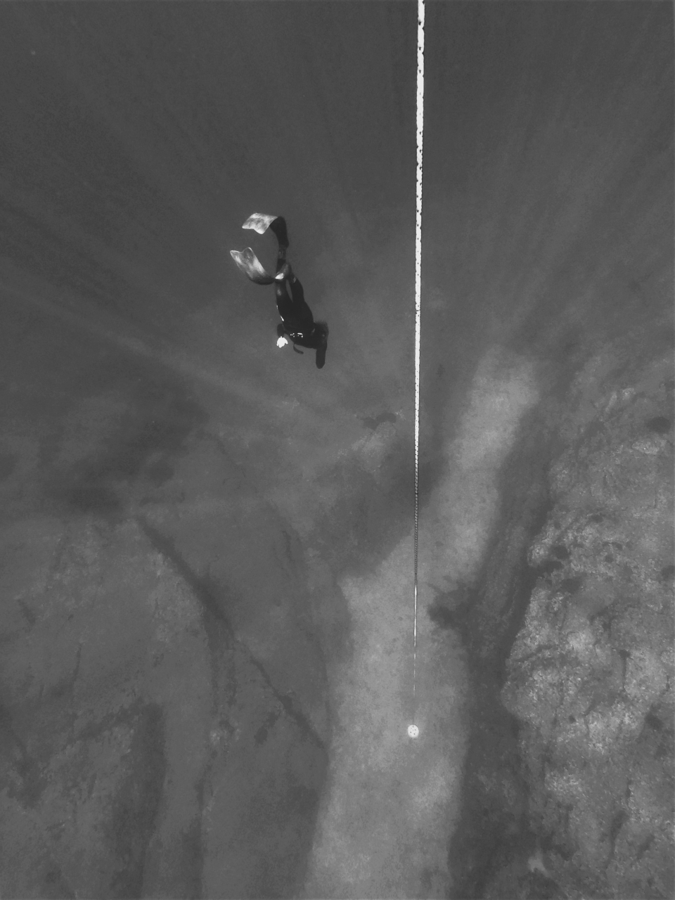 Gallery 2 SILENT SEAS FREEDIVING