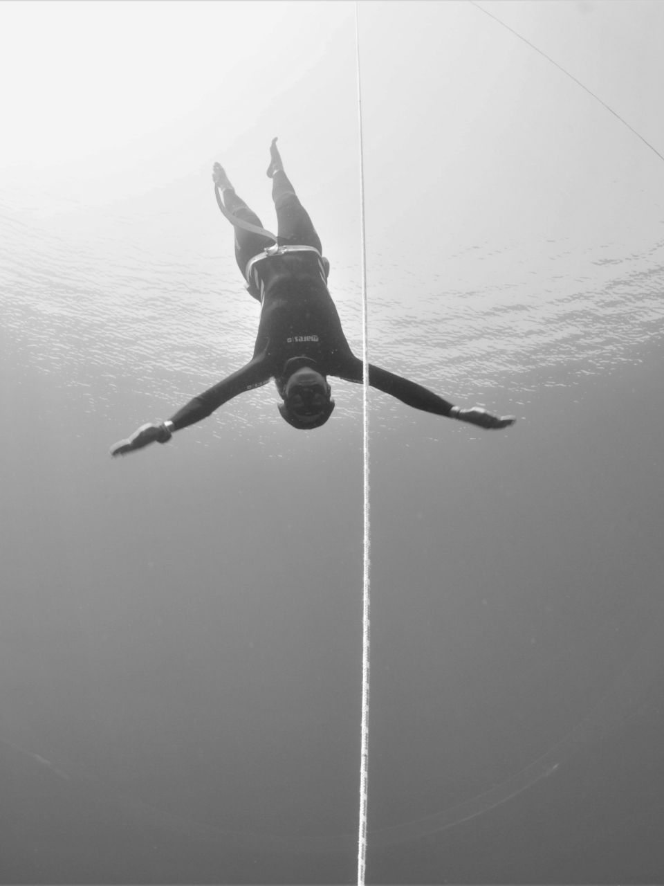 Gallery 8 SILENT SEAS FREEDIVING